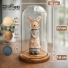 Chụp thủy tinh đế gỗ 15x27