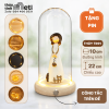 Chụp thủy tinh đế gỗ đèn led 10x22
